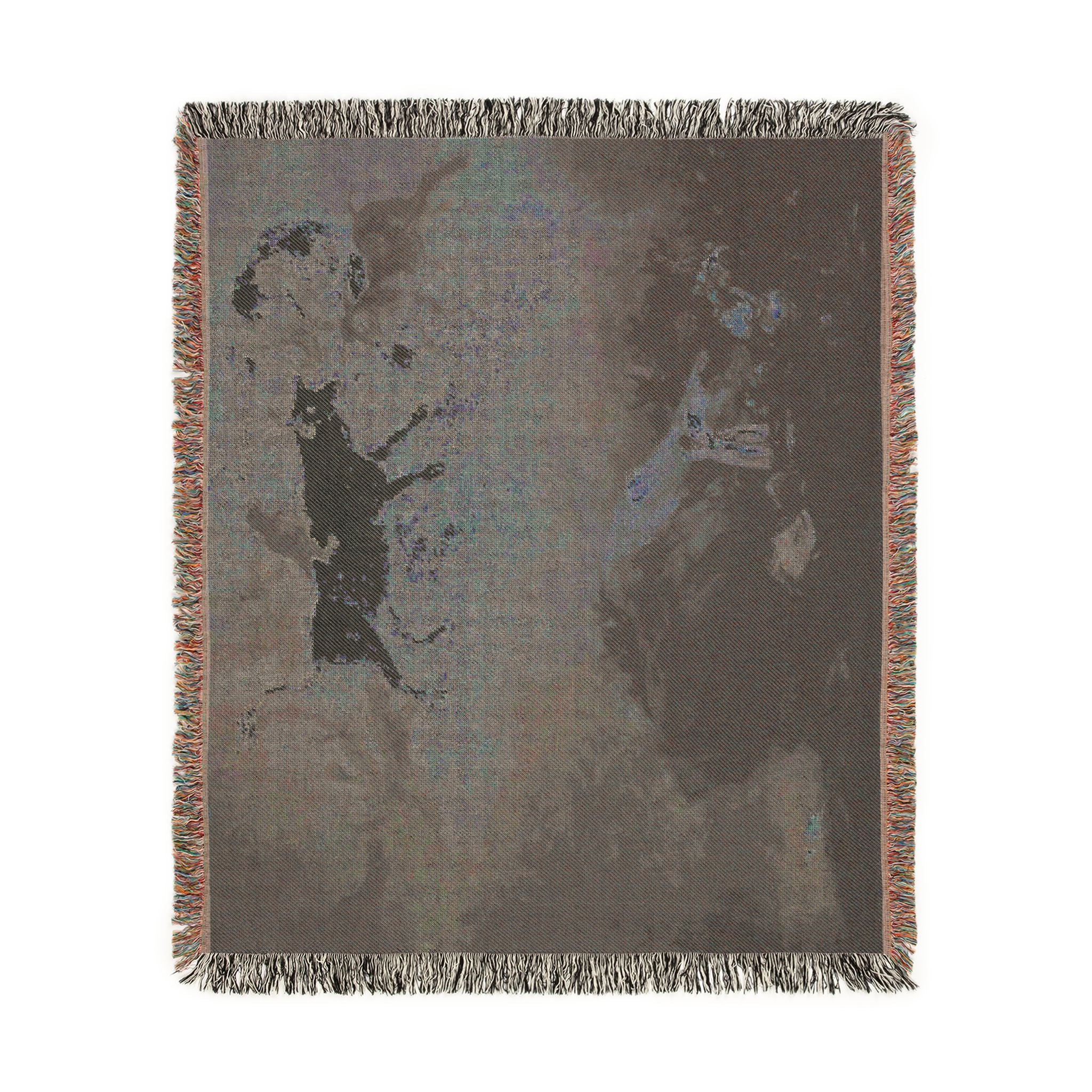 (Agen) Caprice - Francisco de Goya 1818-1819 - Musée des Beaux-Arts d'Agen | Woven Tapestry Blanket