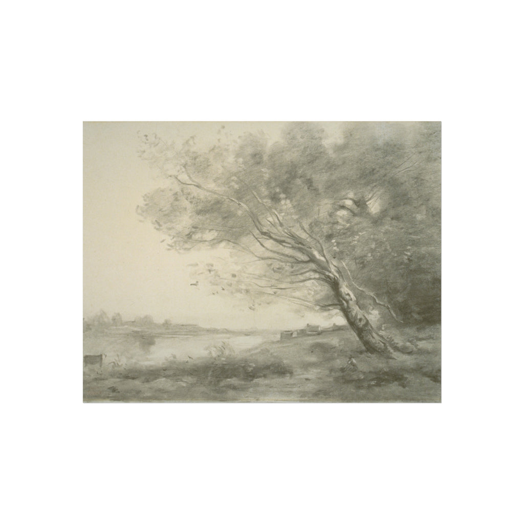 Jean Baptiste Camille Corot - Bent Tree by the Water | Fine Art Poster