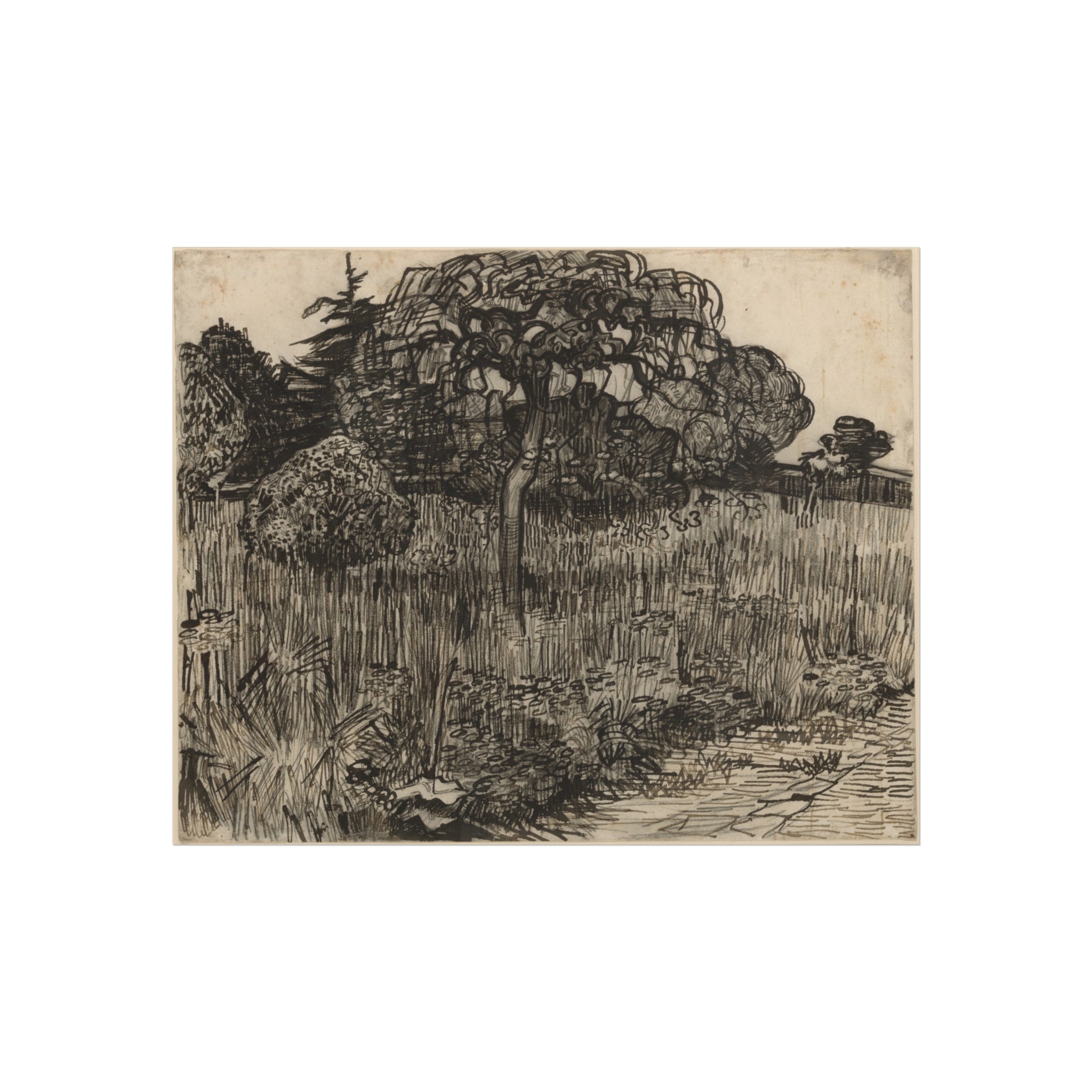 Weeping Tree Vincent van Gogh Fine Art Poster