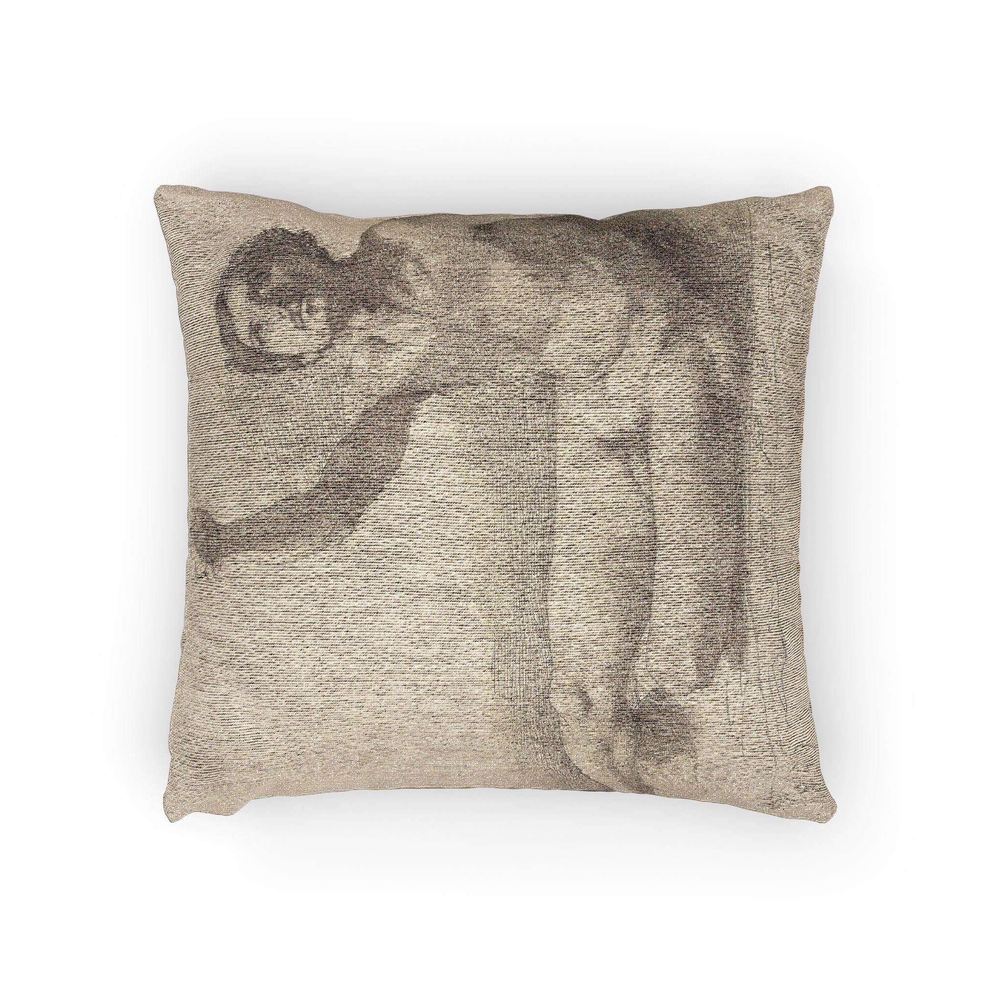 Hilaire Germain Edgar Degas - Study of a Male Nude | Woven Pillow