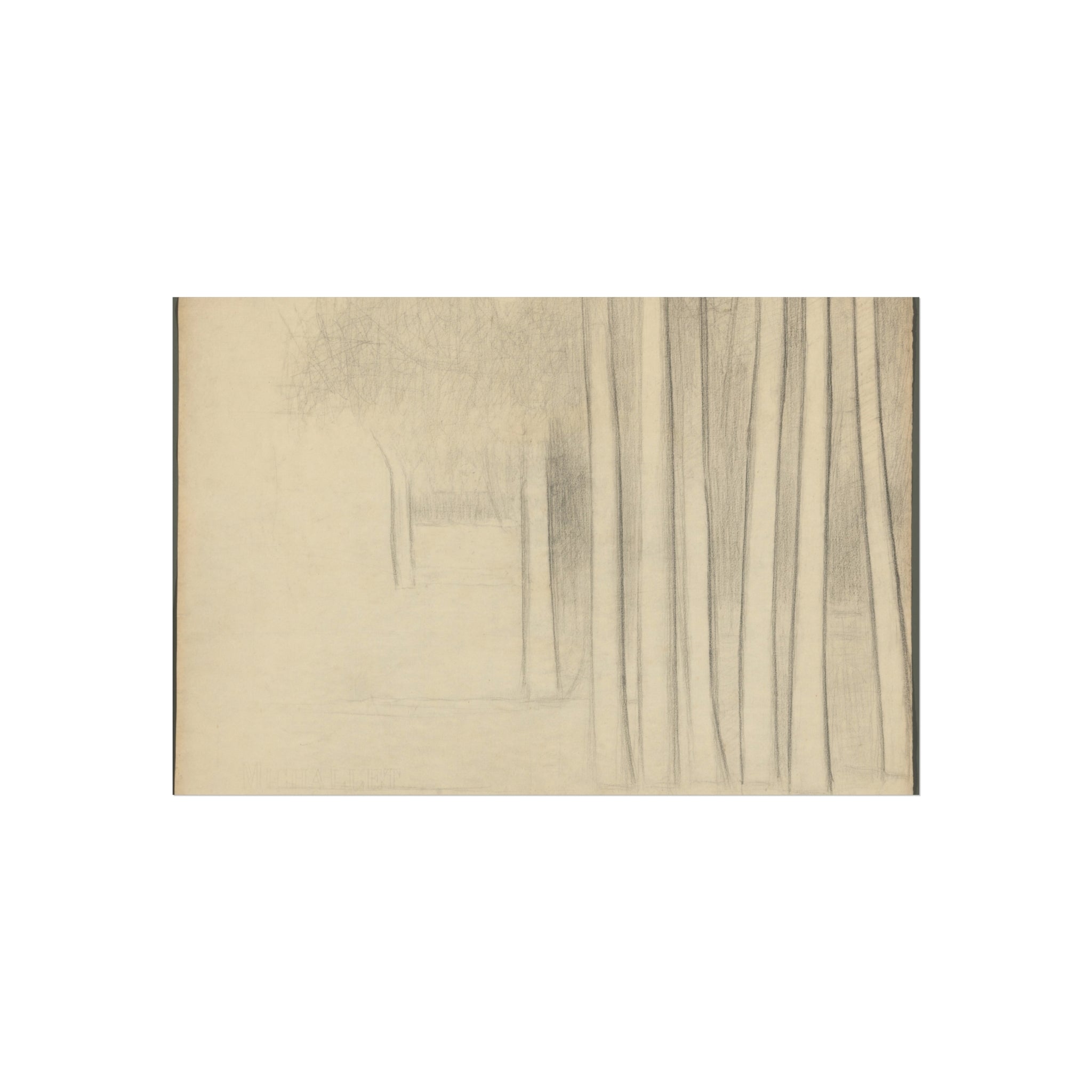 Georges Seurat - Tree Trunks (study) | Fine Art Poster