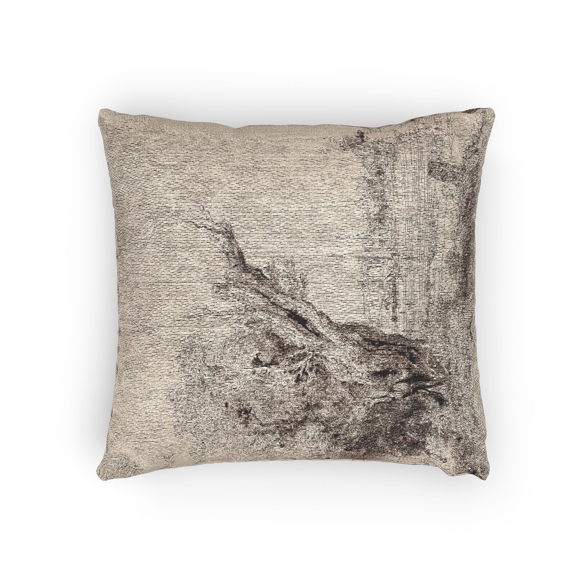 Rembrandt van Rijn - The Omval | Woven Pillow