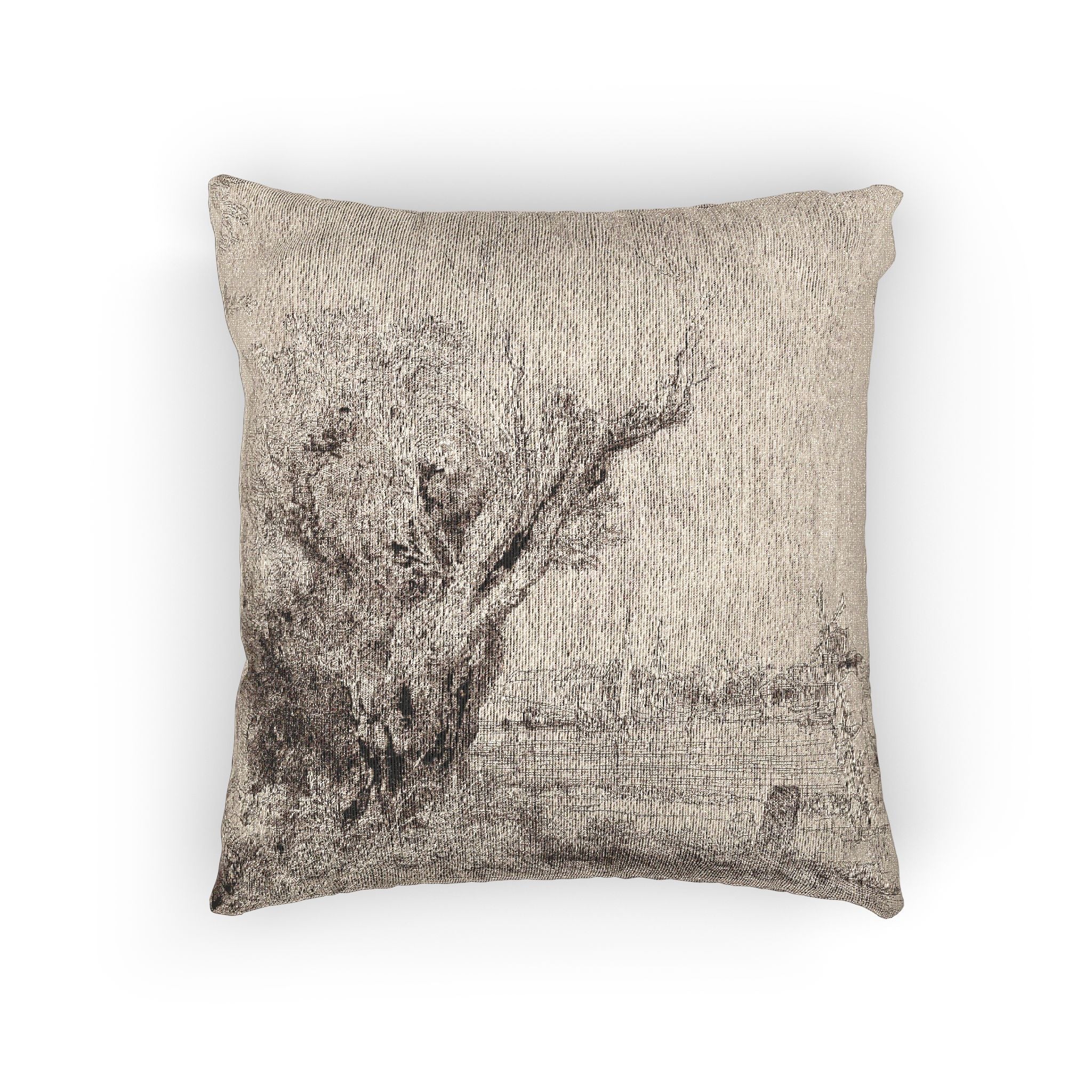 Rembrandt van Rijn - The Omval | Woven Pillow