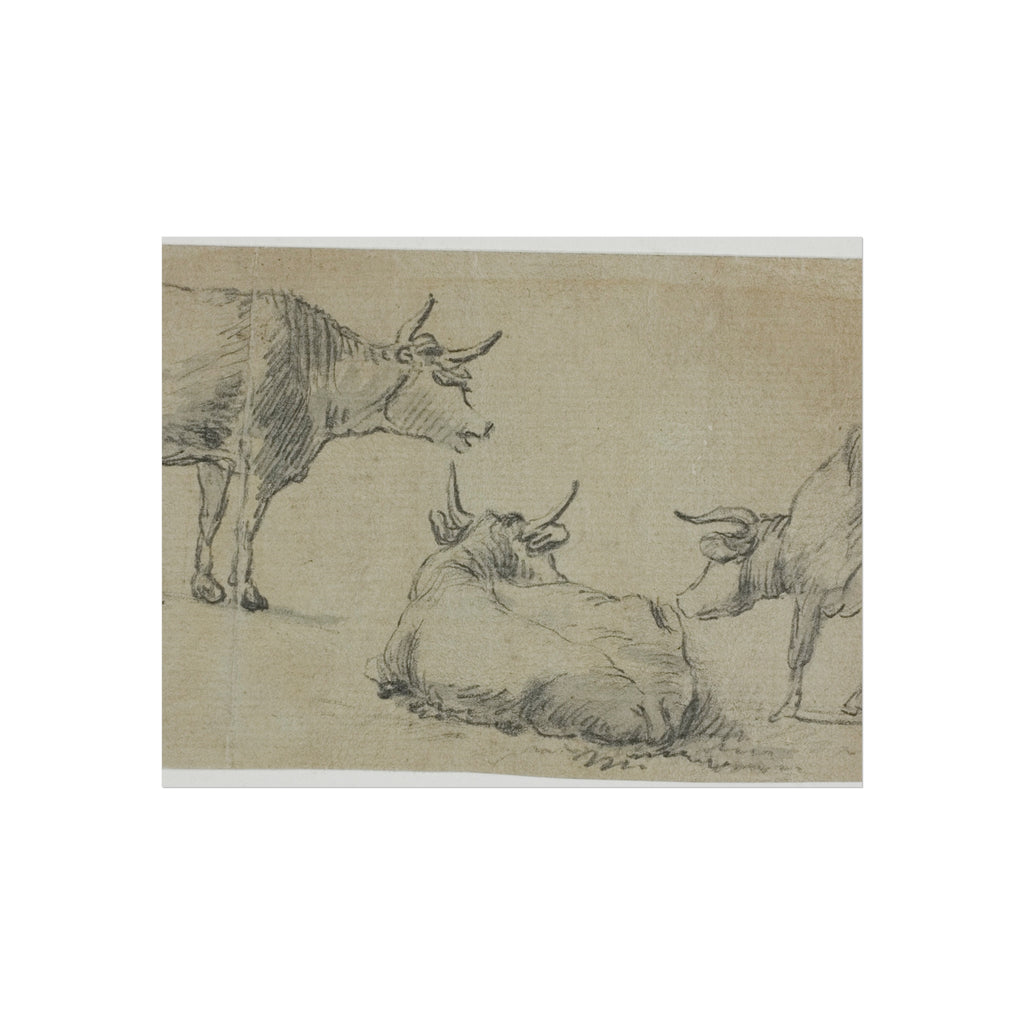 Aelbert Cuyp - Three Sketches of Cows | Fine Art Poster