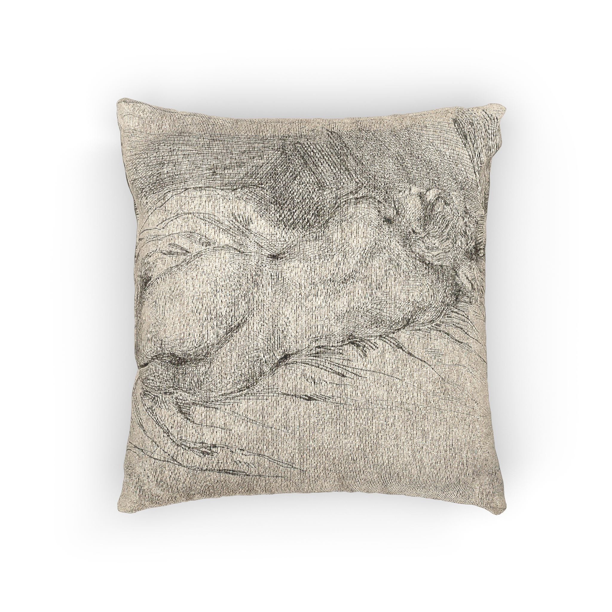 Eugène Delacroix - Study of a Woman Seen from the Back | Woven Pillow