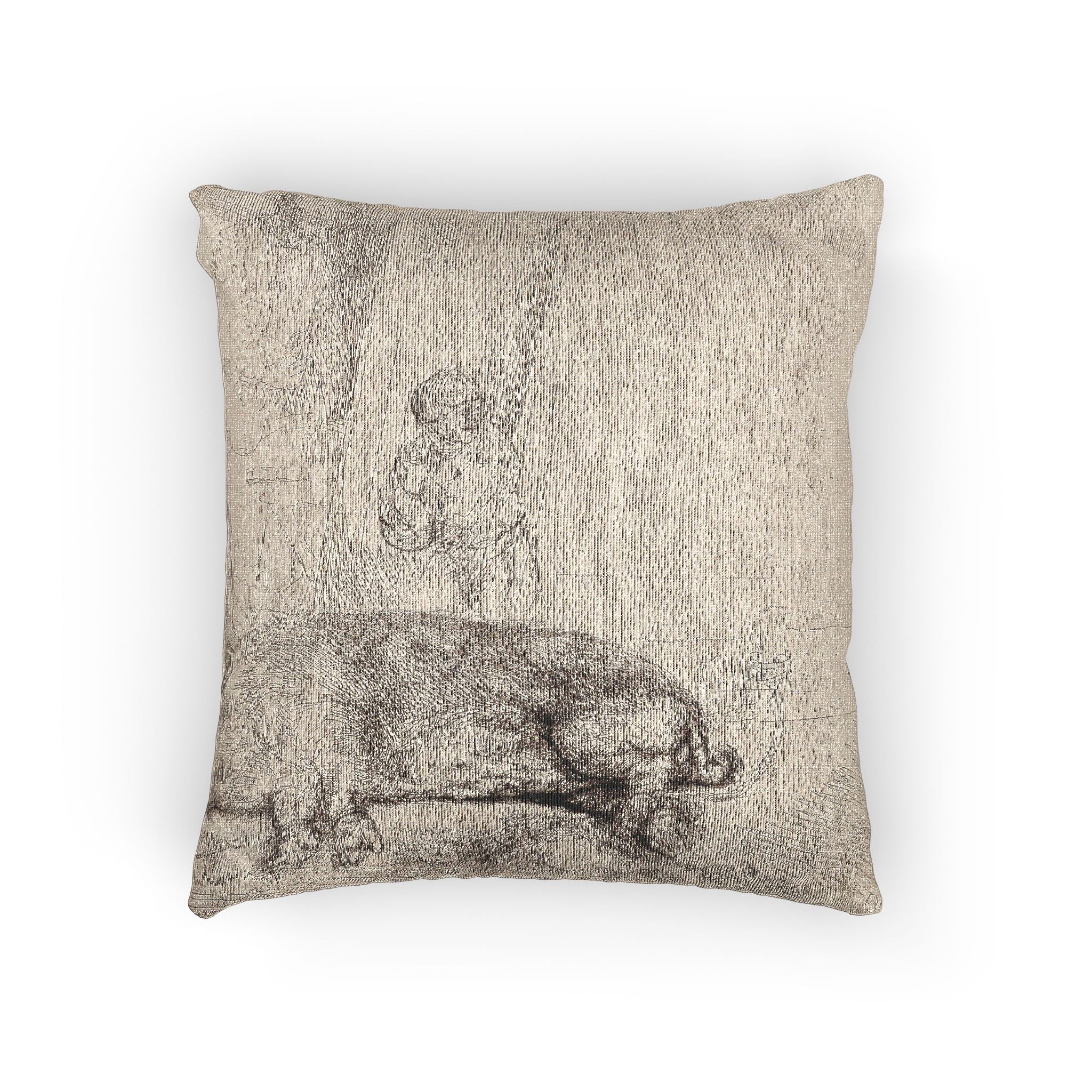 Rembrandt van Rijn - The Hog | Woven Pillow