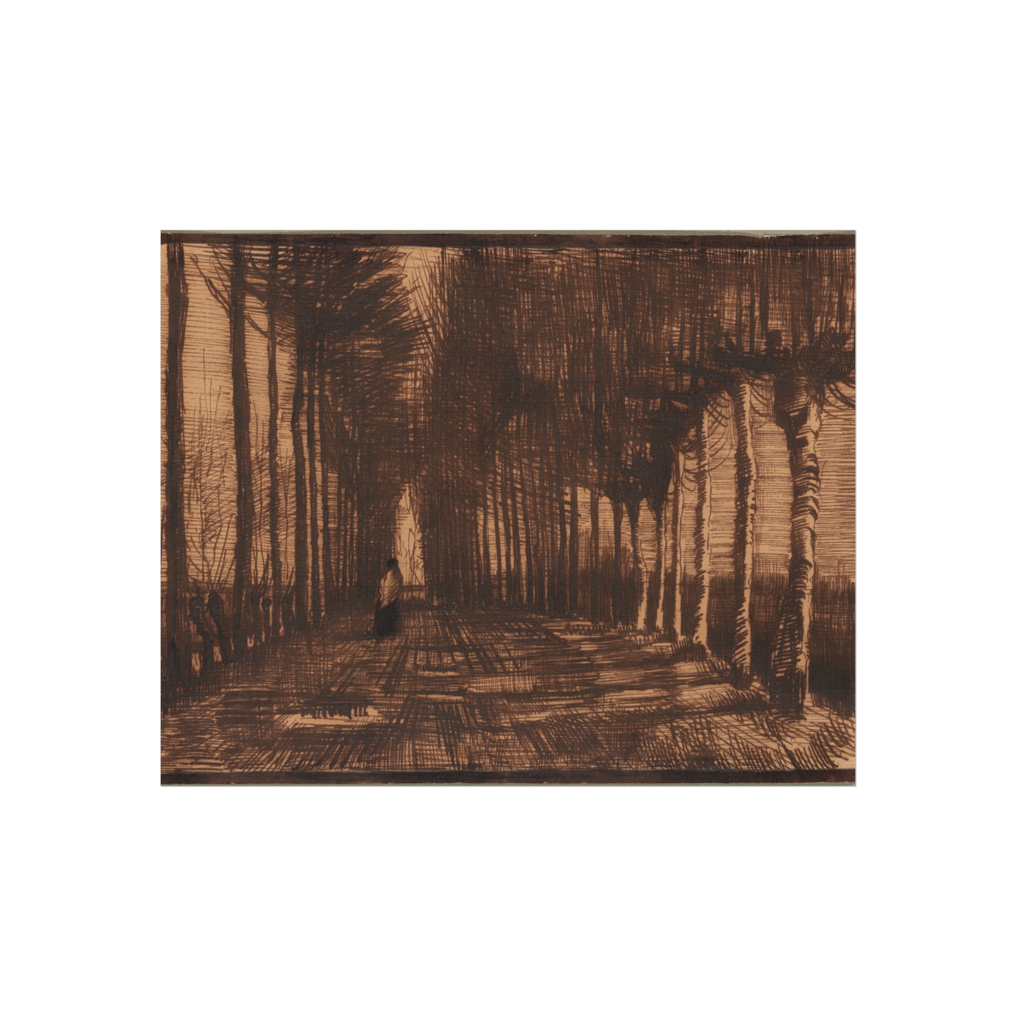 Avenue of Pollard Birches and Poplars Vincent van Gogh Fine Art Poster