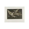 Francisco José de Goya y Lucientes - A Way of Flying, from Disparates, published as plate 13 in Los Proverbios (Proverbs | Fine Art Poster