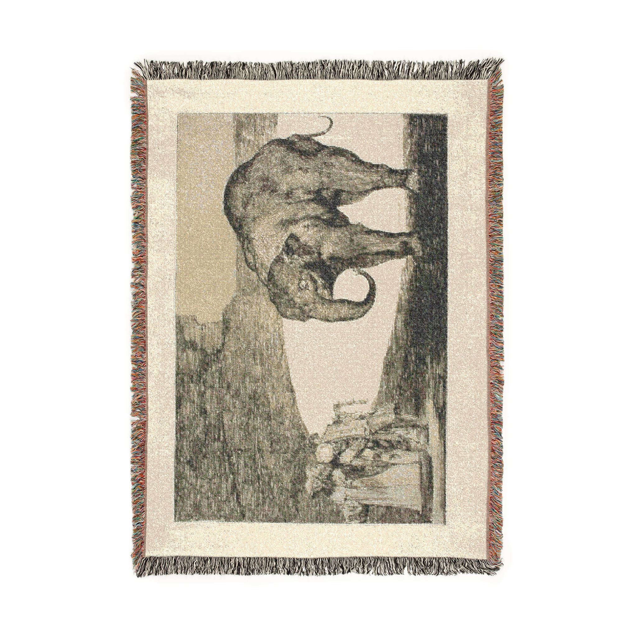 Francisco José de Goya y Lucientes - Animal Folly, from Disparates | Woven Tapestry Blanket