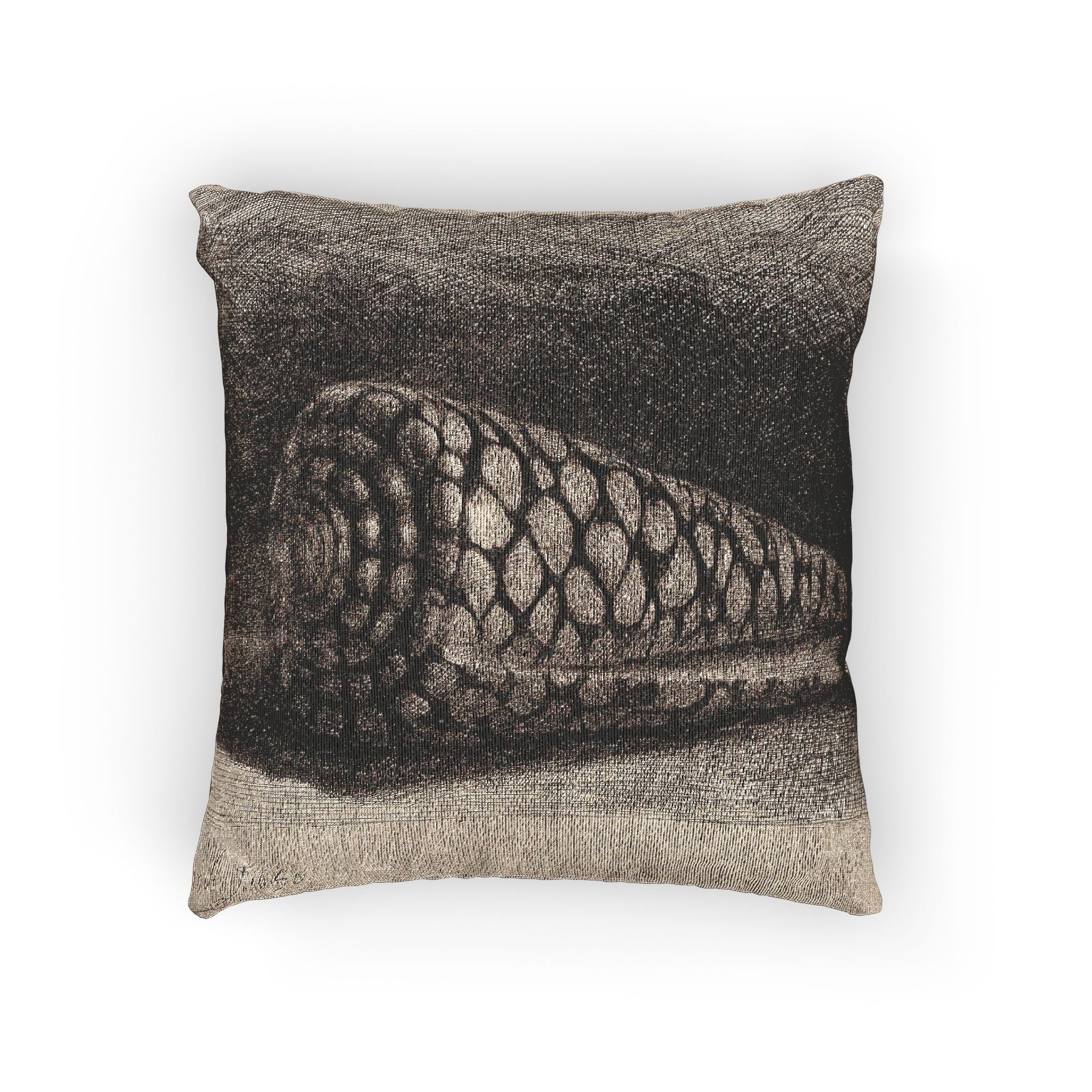 Rembrandt van Rijn - The Shell | Woven Pillow