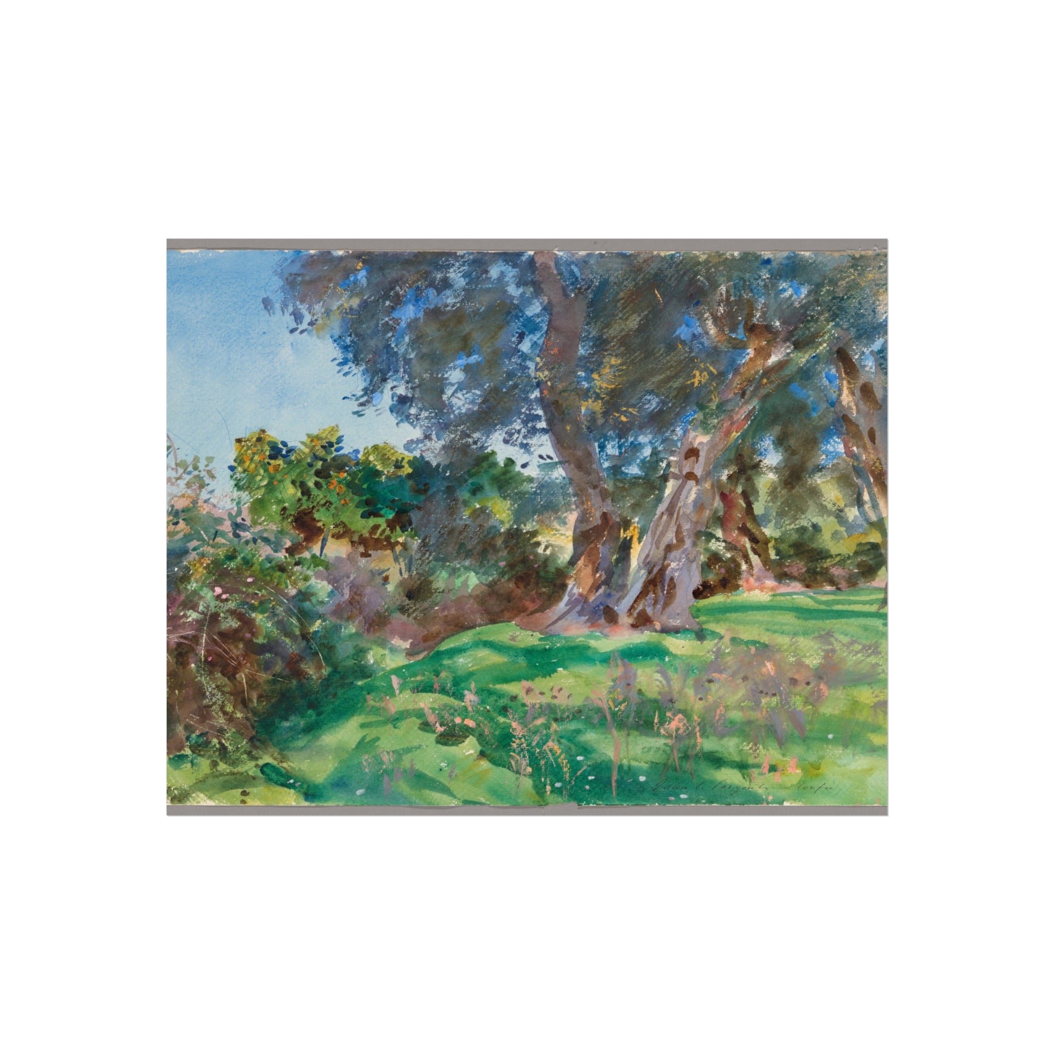 Olive Trees, Corfu John Singer Sargent Fine Art Poster
