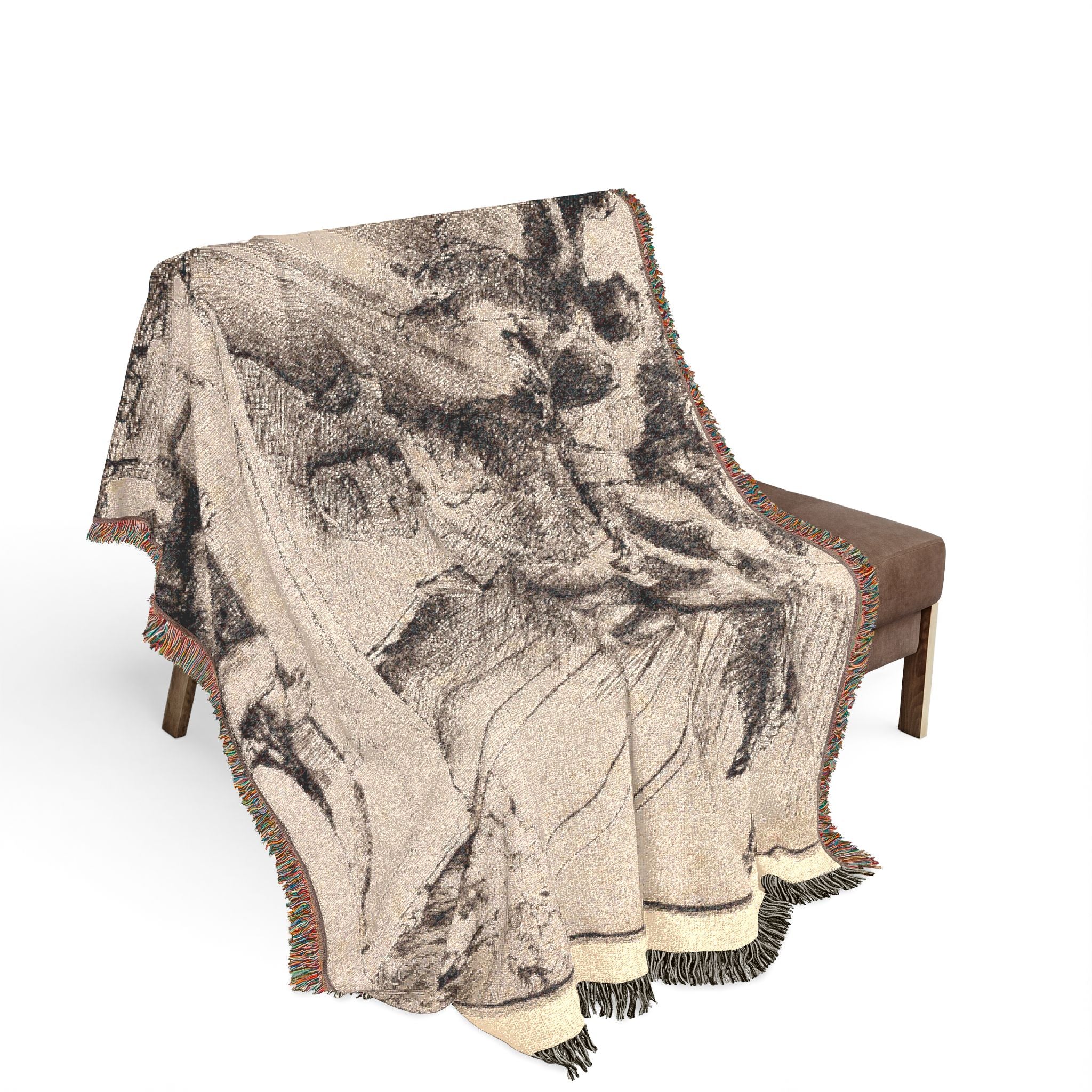 Rembrandt van Rijn - The Phoenix or The Statue Overthrown | Woven Tapestry Blanket