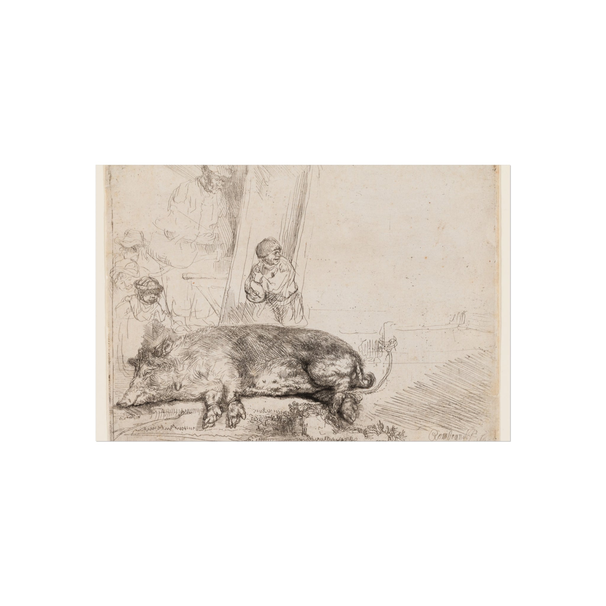 Rembrandt van Rijn - The Hog | Fine Art Poster