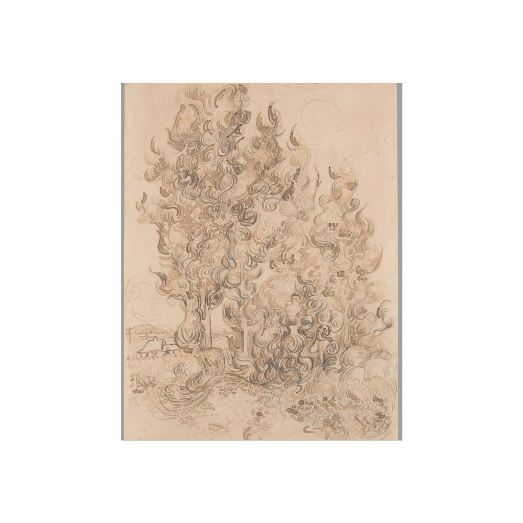 Vincent van Gogh - Cypresses | Fine Art Poster