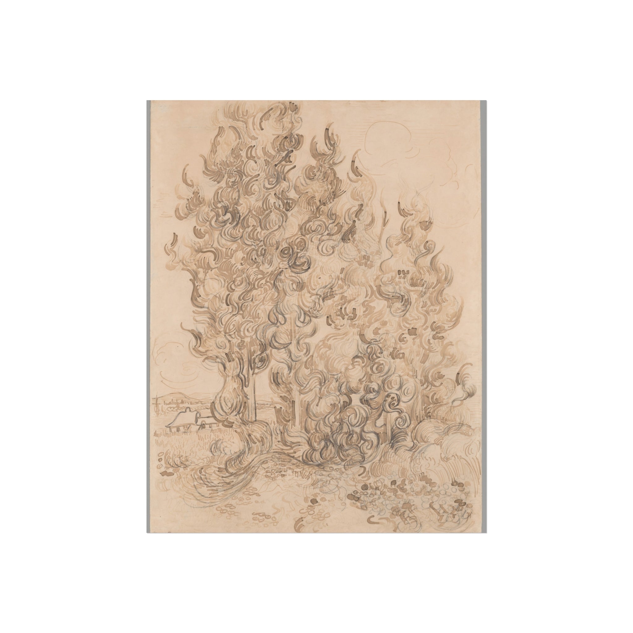 Vincent van Gogh - Cypresses | Fine Art Poster