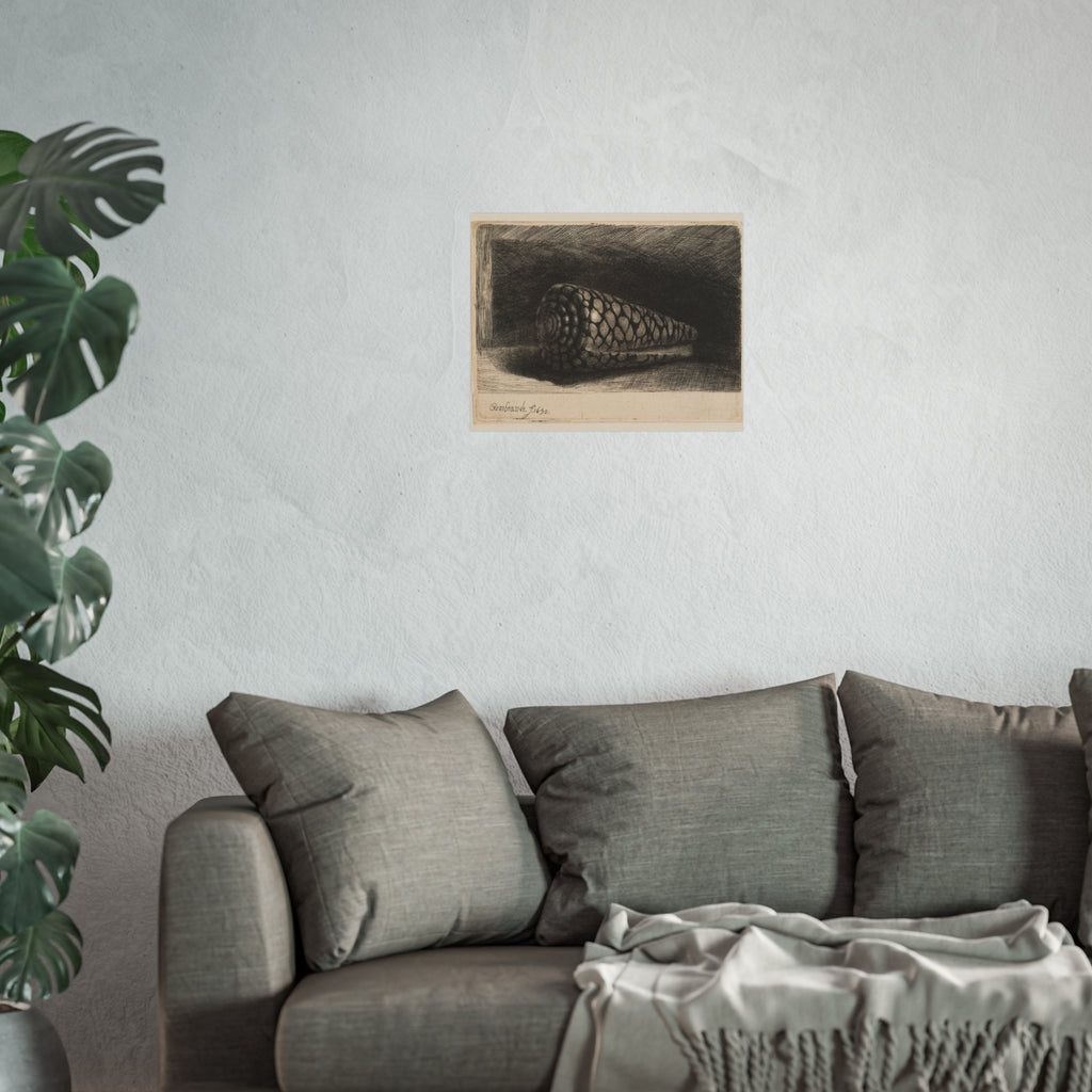 Rembrandt van Rijn - The Shell | Fine Art Poster