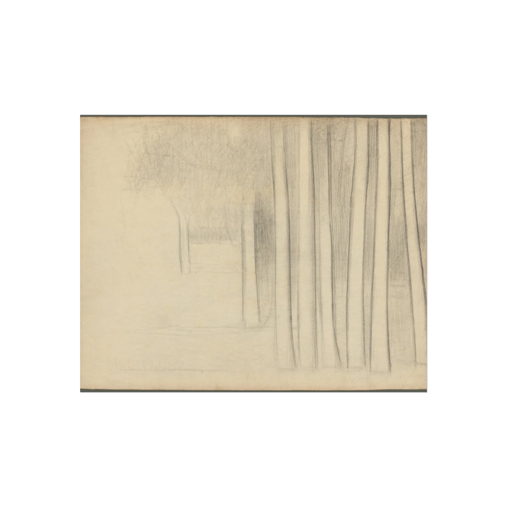 Georges Seurat - Tree Trunks (study) | Fine Art Poster
