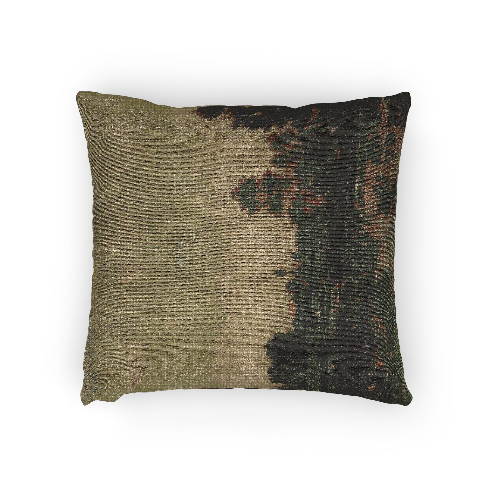 Charles François Daubigny - The Marsh | Woven Pillow