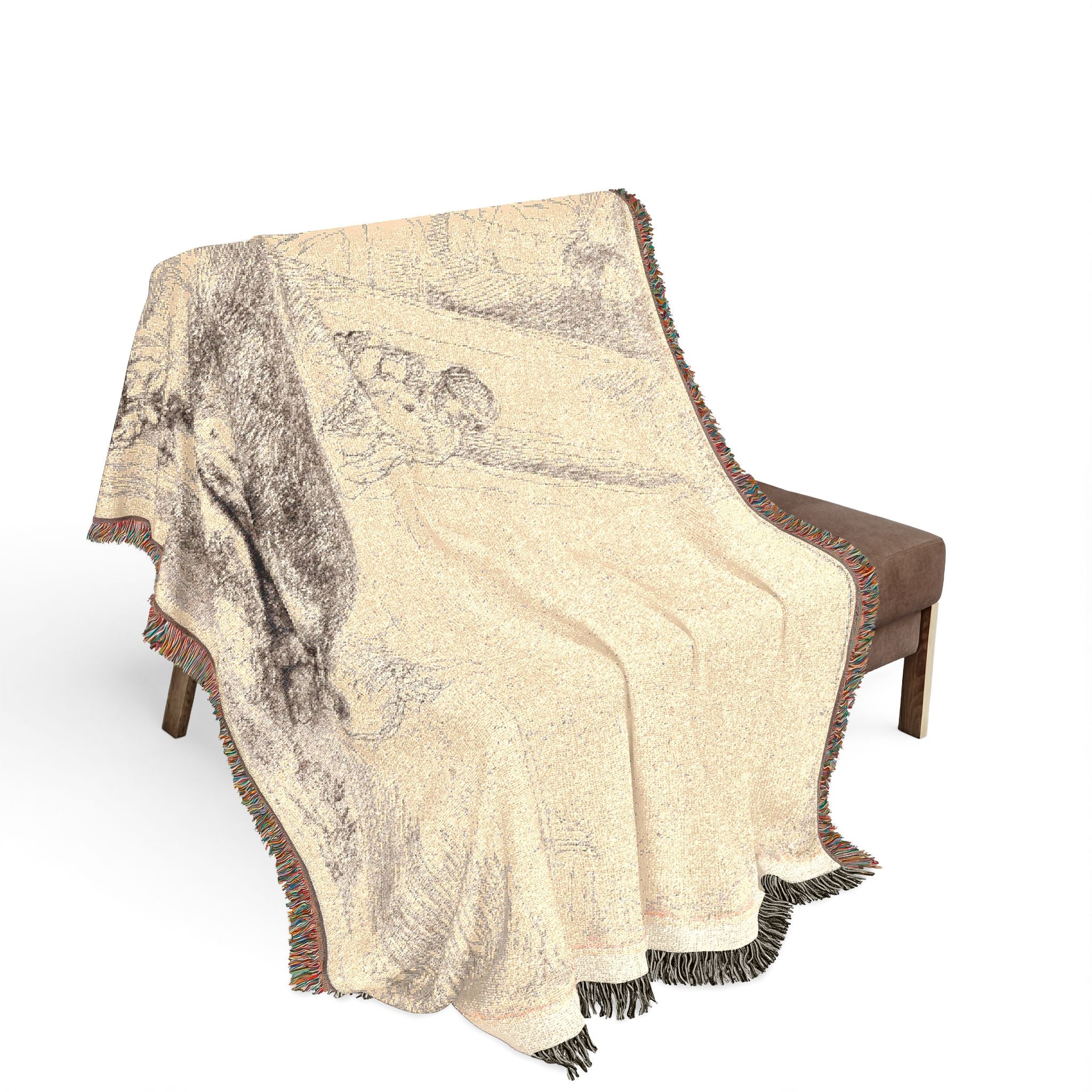 Rembrandt van Rijn - The Hog | Woven Tapestry Blanket